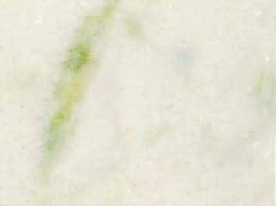 Marmore Branco Pinta Verde